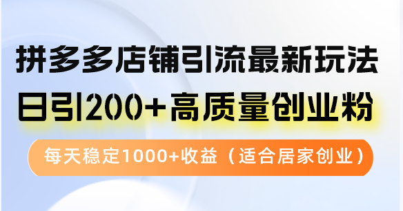 （12893期）拼多多店铺引流最新玩法，日引200+高质量创业粉，每天稳定1000+收益（…-甄选网创