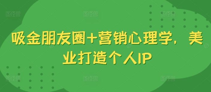 吸金朋友圈+营销心理学，美业打造个人IP-甄选网创