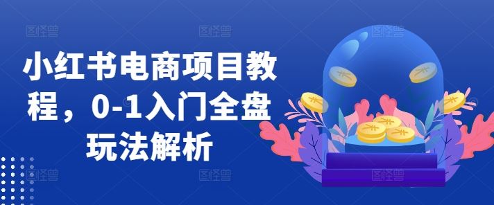 小红书电商项目教程，0-1入门全盘玩法解析-甄选网创