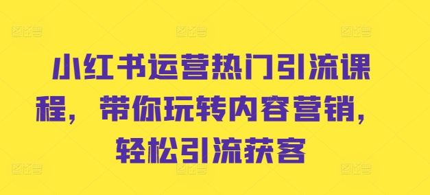 小红书运营热门引流课程，带你玩转内容营销，轻松引流获客-甄选网创