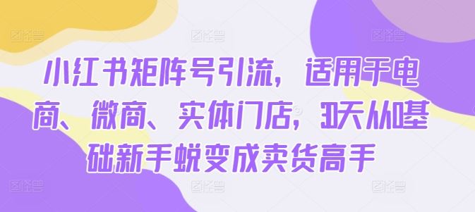 小红书矩阵号引流，适用于电商、微商、实体门店，30天从0基础新手蜕变成卖货高手-甄选网创