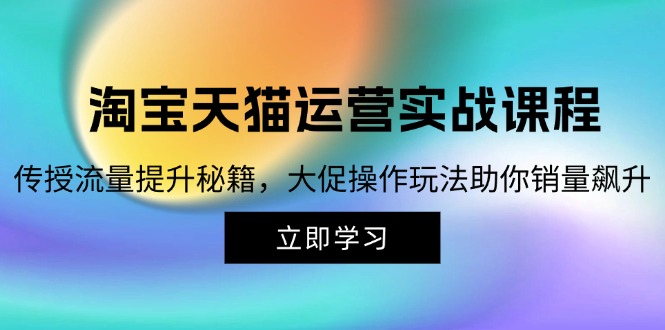 （12959期）淘宝&天猫运营实战课程，传授流量提升秘籍，大促操作玩法助你销量飙升-甄选网创