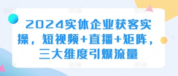 2024实体企业获客实操，短视频+直播+矩阵，三大维度引爆流量-甄选网创