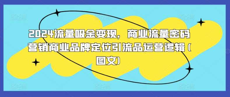 2024流量吸金变现，商业流量密码营销商业品牌定位引流品运营逻辑(图文)-甄选网创