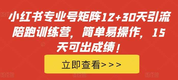 小红书专业号矩阵12+30天引流陪跑训练营，简单易操作，15天可出成绩!-甄选网创