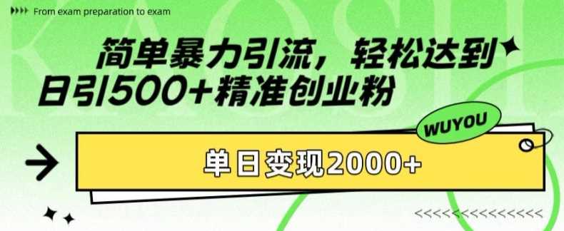 简单暴力引流，轻松达到日引500+精准创业粉，单日变现2k【揭秘】-甄选网创