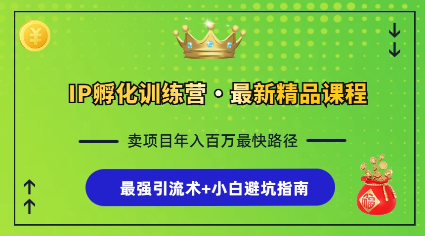 （13055期）IP孵化训练营，知识付费全流程+最强引流术+小白避坑指南-甄选网创