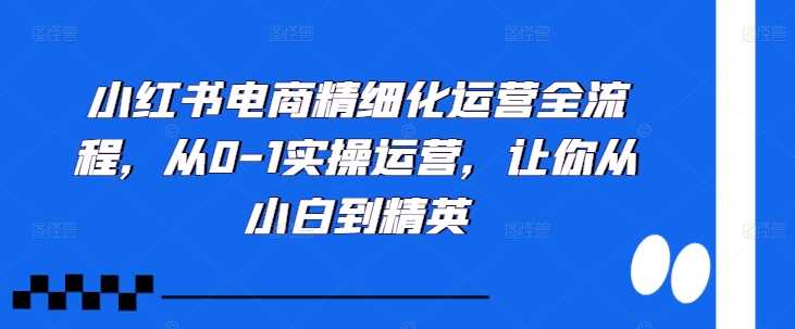 小红书电商精细化运营全流程，从0-1实操运营，让你从小白到精英-甄选网创