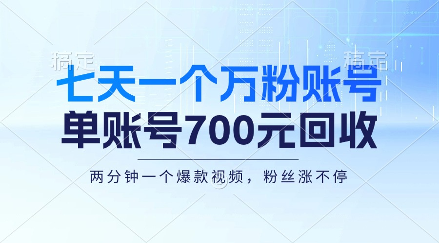 （13062期）七天一个万粉账号，新手小白秒上手，单账号回收700元，轻松月入三万＋-甄选网创