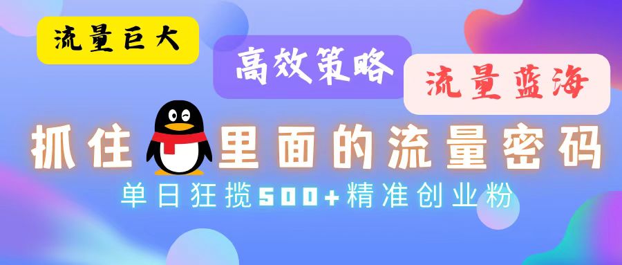 （13068期）流量蓝海，抓住QQ里面的流量密码！高效策略，单日狂揽500+精准创业粉-甄选网创