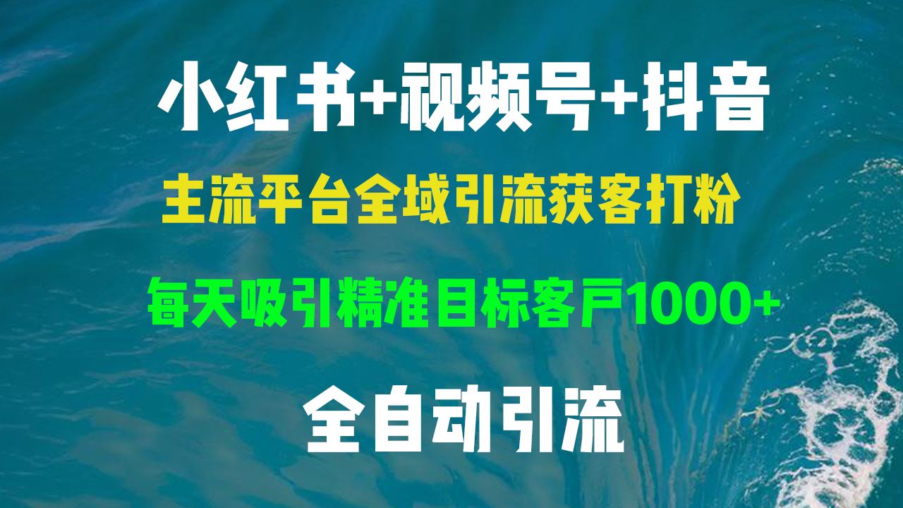 （13104期）小红书，视频号，抖音主流平台全域引流获客打粉，每天吸引精准目标客户…-甄选网创