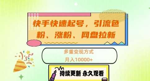 快手快速起号，引流s粉、涨粉、网盘拉新多重变现方式，月入1w【揭秘】-甄选网创