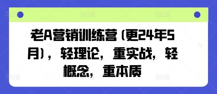 老A营销训练营(更24年10月)，轻理论，重实战，轻概念，重本质-甄选网创