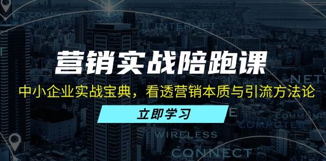 （13146期）营销实战陪跑课：中小企业实战宝典，看透营销本质与引流方法论-甄选网创