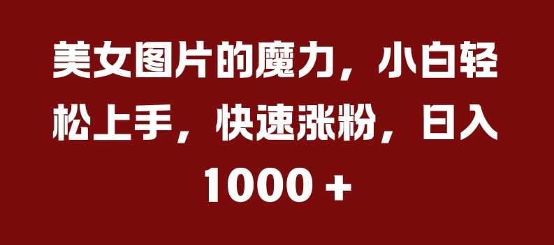 美女图片的魔力，小白轻松上手，快速涨粉，日入几张【揭秘】-甄选网创