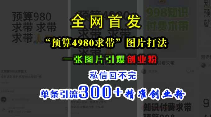 小红书“预算4980带我飞”图片打法，一张图片引爆创业粉，私信回不完，单条引流300+精准创业粉-甄选网创