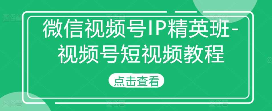 微信视频号IP精英班-视频号短视频教程-甄选网创