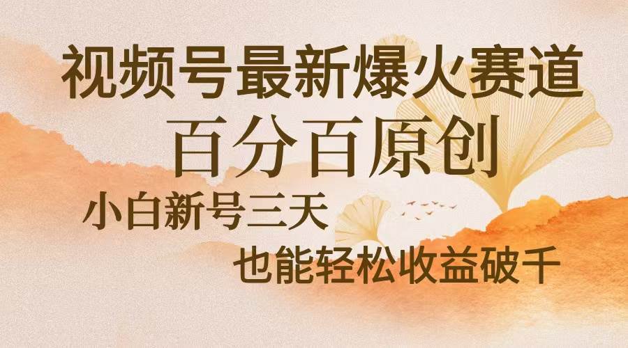 （13225期）视频号最新爆火赛道，中老年粉深信不疑，百分百原创，新号三天收益轻松…-甄选网创