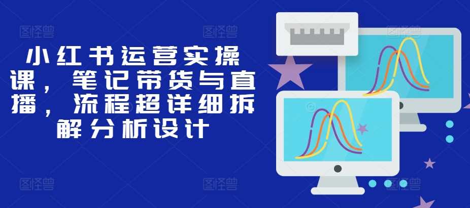 小红书运营实操课，笔记带货与直播，流程超详细拆解分析设计-甄选网创