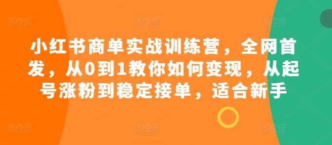 小红书商单实战训练营，全网首发，从0到1教你如何变现，从起号涨粉到稳定接单，适合新手-甄选网创