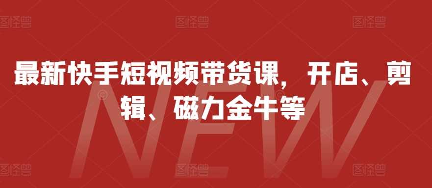 最新快手短视频带货课，开店、剪辑、磁力金牛等-甄选网创