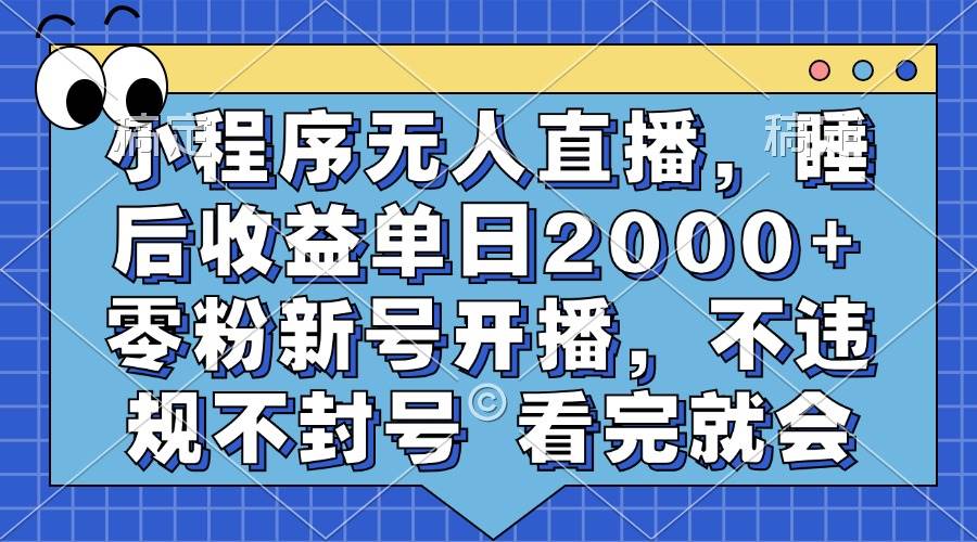 （13251期）小程序无人直播，睡后收益单日2000+ 零粉新号开播，不违规不封号 看完就会-甄选网创