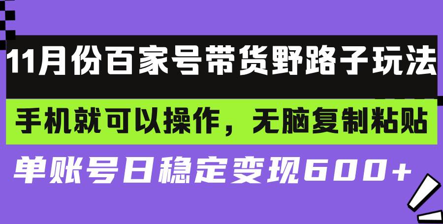 （13281期）百家号带货野路子玩法 手机就可以操作，无脑复制粘贴 单账号日稳定变现…-甄选网创