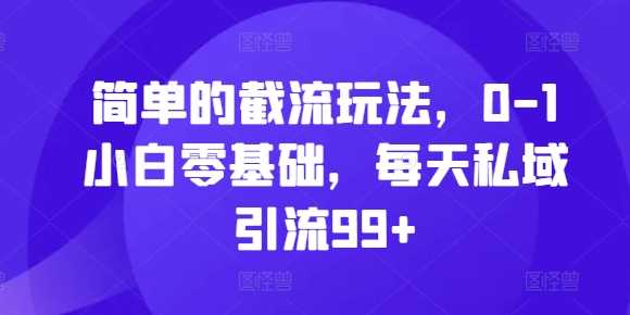 简单的截流玩法，0-1小白零基础，每天私域引流99+【揭秘】-甄选网创