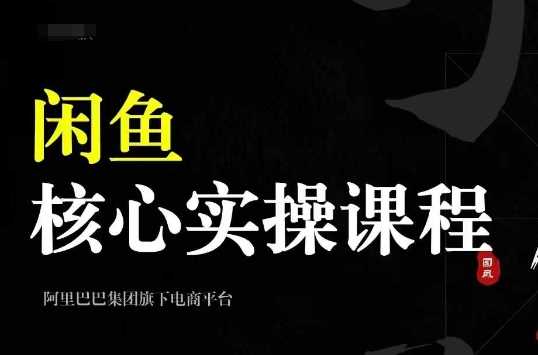 2024闲鱼核心实操课程，从养号、选品、发布、销售，教你做一个出单的闲鱼号-甄选网创