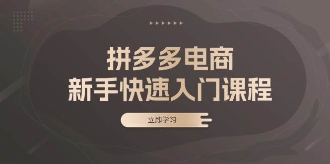 （13289期）拼多多电商新手快速入门课程：涵盖基础、实战与选款，助力小白轻松上手-甄选网创