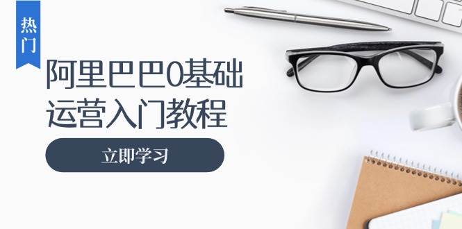 （13291期）阿里巴巴运营零基础入门教程：涵盖开店、运营、推广，快速成为电商高手-甄选网创