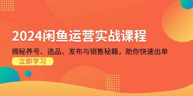 （13290期）2024闲鱼运营实战课程：揭秘养号、选品、发布与销售秘籍，助你快速出单-甄选网创