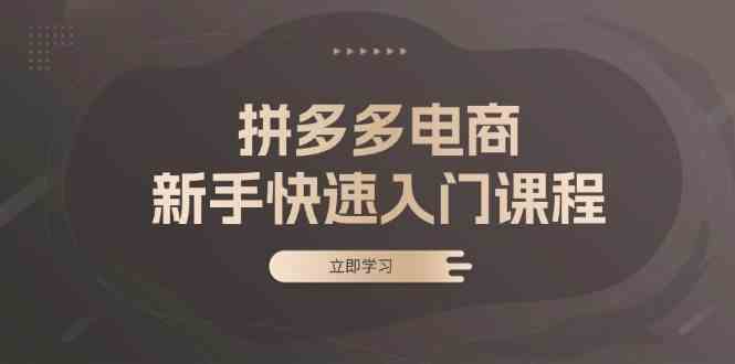 拼多多电商新手快速入门课程：涵盖基础、实战与选款，助力小白轻松上手-甄选网创