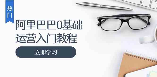 阿里巴巴运营零基础入门教程：涵盖开店、运营、推广，快速成为电商高手-甄选网创