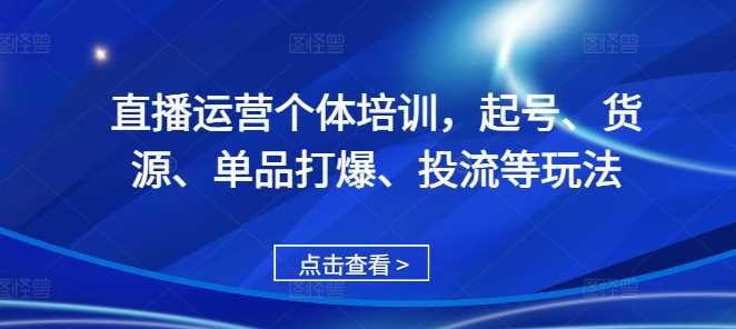 直播运营个体培训，起号、货源、单品打爆、投流等玩法-甄选网创