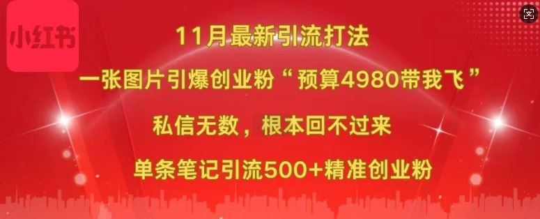 小红书11月最新图片打粉，一张图片引爆创业粉，“预算4980带我飞”，单条引流500+精准创业粉-甄选网创