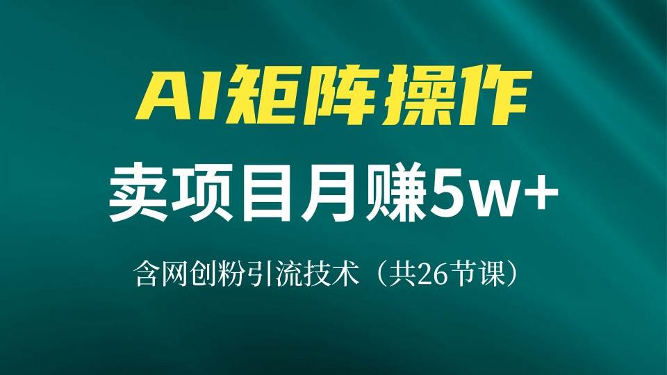 （13335期）网创IP打造课，借助AI卖项目月赚5万+，含引流技术（共26节课）-甄选网创