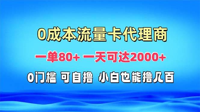 （13391期）免费流量卡代理一单80+ 一天可达2000+-甄选网创