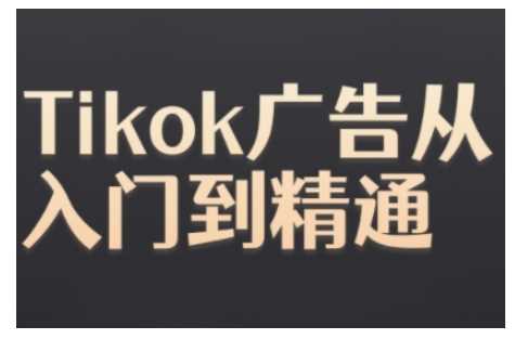 Tiktok Ads实操教程，Tiktok广告从入门到精通-甄选网创