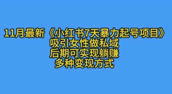 K总部落11月最新小红书7天暴力起号项目，吸引女性做私域【揭秘】-甄选网创