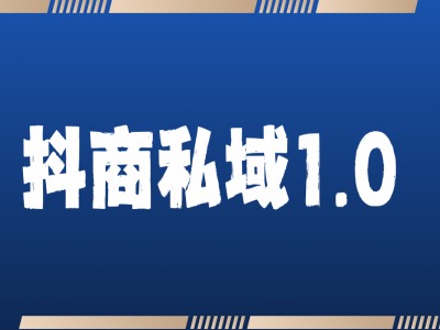 抖商服务私域1.0，抖音引流获客详细教学-甄选网创