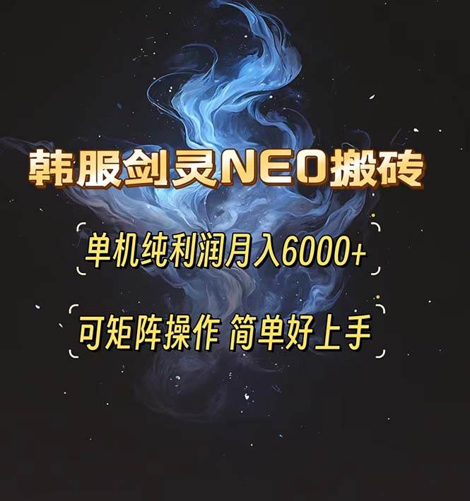 （13435期）韩服剑灵NEO搬砖攻略，单机纯利润月入6000+ 可矩阵操作，简单好上手。-甄选网创