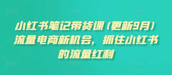 小红书笔记带货课(更新11月)流量电商新机会，抓住小红书的流量红利-甄选网创