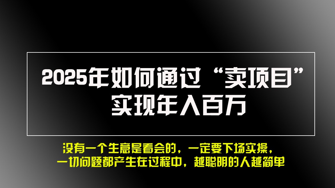 2025年如何通过“卖项目”实现年入百万-甄选网创