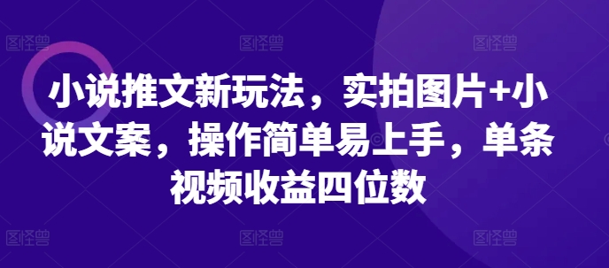 小说推文新玩法，实拍图片+小说文案，操作简单易上手，单条视频收益四位数-甄选网创