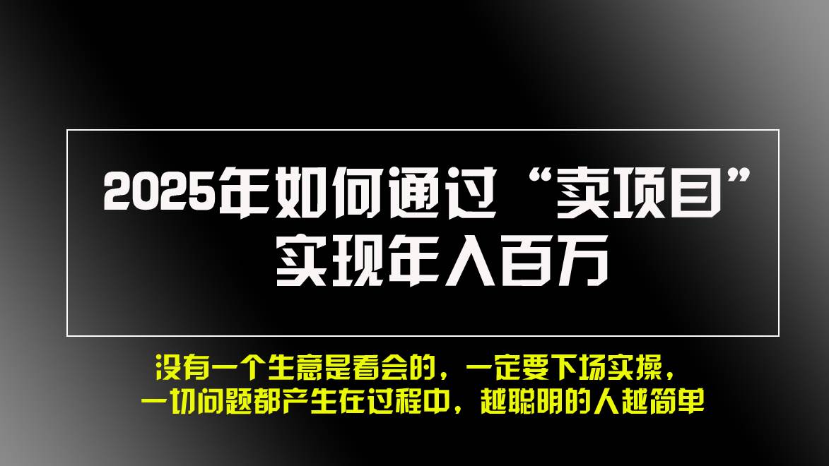 （13468期）2025年如何通过“卖项目”实现年入百万，做网赚必看！！-甄选网创