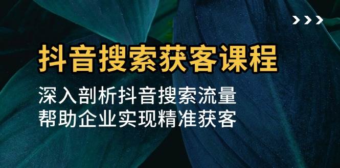 （13465期）抖音搜索获客课程：深入剖析抖音搜索流量，帮助企业实现精准获客-甄选网创