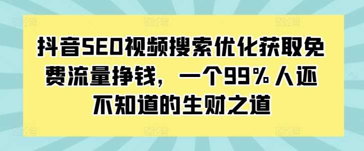 抖音SEO视频搜索优化获取免费流量挣钱，一个99%人还不知道的生财之道-甄选网创