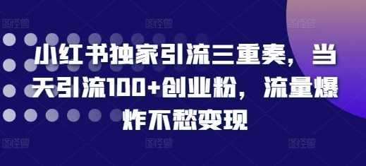 小红书独家引流三重奏，当天引流100+创业粉，流量爆炸不愁变现【揭秘】-甄选网创