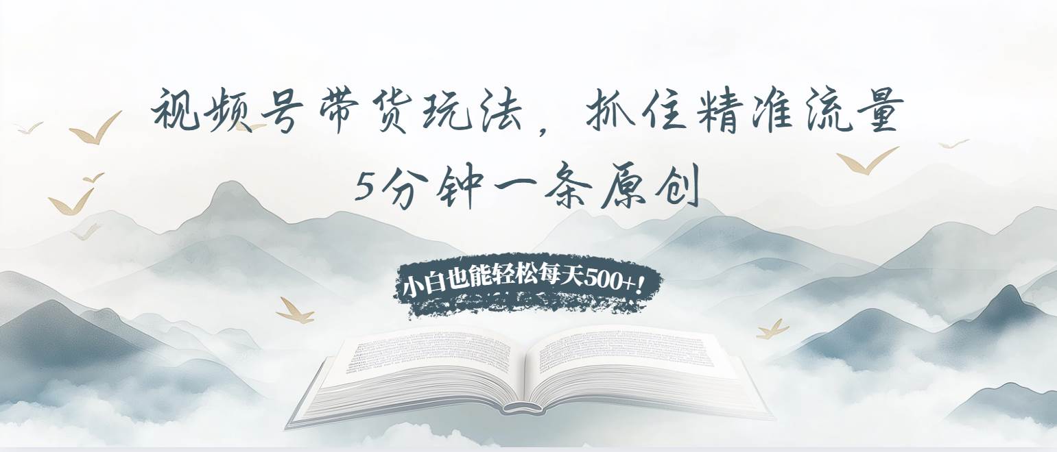 （13492期）视频号带货玩法，抓住精准流量，5分钟一条原创，小白也能轻松每天500+！-甄选网创